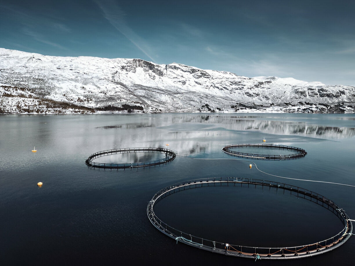Salmon Farmers in Norway
