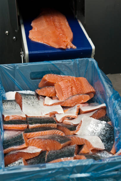 salmon Distributors in Norway